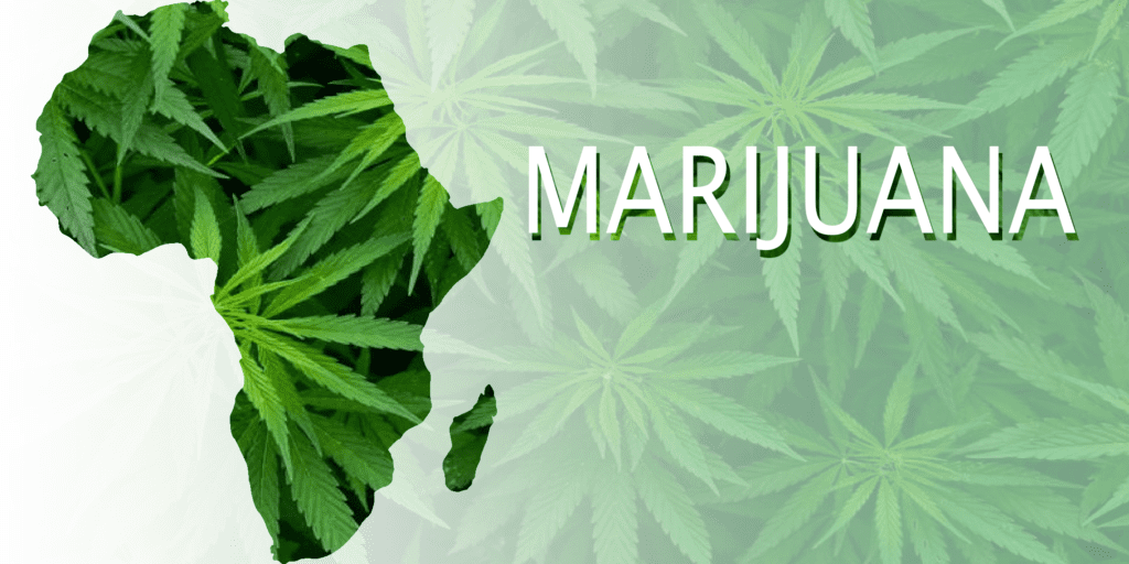 Economic opportunity for africa in Marijuana